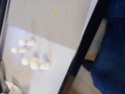Pions