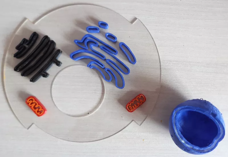 Objets peints